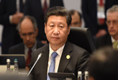 习近平：今年中国经济预计实现7%左右增长